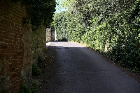 Narrow road bordered by a building and a stone wall in a park by the hillsi.. Fotos de archivo