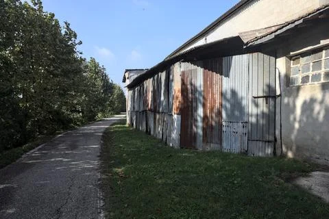 Narrow road bordered by a row of trees next to a building in the italian co.. Fotos de archivo
