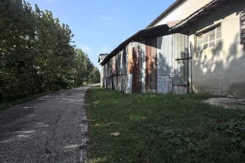 Narrow road bordered by a row of trees next to a building in the italian co.. Fotos de archivo