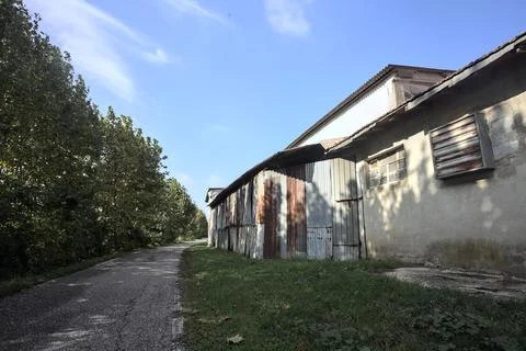 Narrow road bordered by a row of trees next to a building in the italian co.. Fotos de archivo