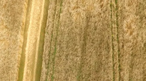The narrow road on the cereal box Stock-Footage 67874695