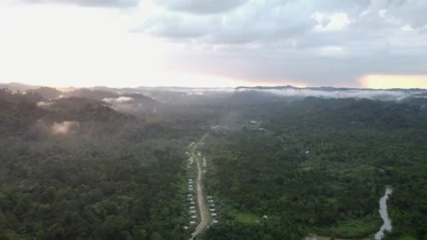 A narrow road cuts through the dense Mentawai jungle on Siberut Island, Sumat Stock Footage 315300788