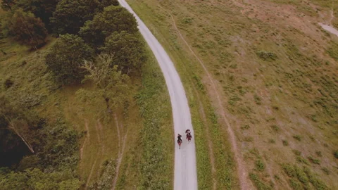 Narrow Road in Middle of Green Fields With Equestrians Traveling With Horses Video stock 158855095