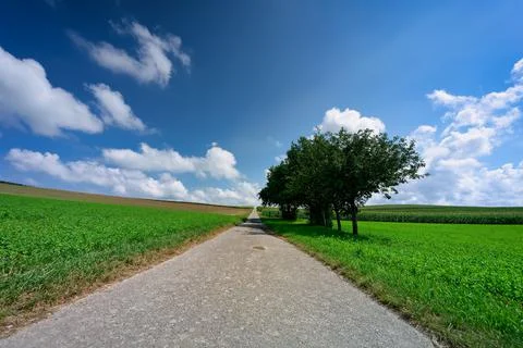 A Narrow Road Stock Photos