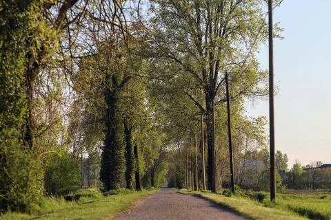 Narrow road at sunset Stock Photos