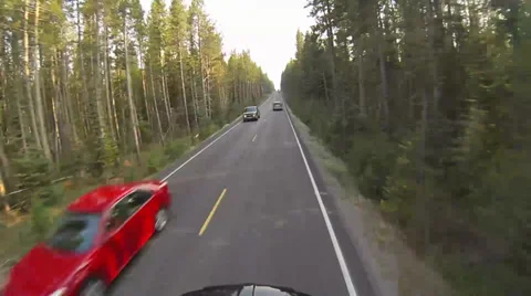 Narrow Road Surrounded By Tall Trees Stock Footage 34690381