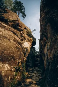 Narrow Rock Passage Through Forest Canyon - 6 Stock Photos