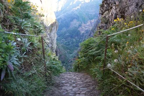 Narrow Rocky Pathway on PR1 Alpine Trail, Madeira Foto stock
