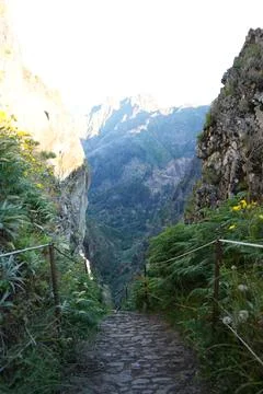Narrow Rocky Pathway on PR1 Alpine Trail, Madeira Fotos Stock