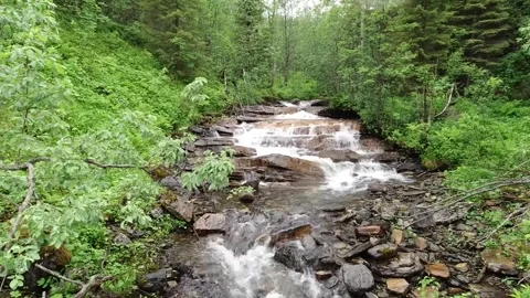 A narrow, rocky stream tumbles downhill through lush green foliage Stock Footage 321997326