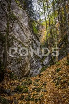 Narrow rocky valley with big stone wall in the colorful autumn forest Stock Photos