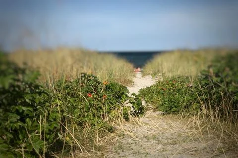 Narrow sandy passage to beachside  Stock Photos