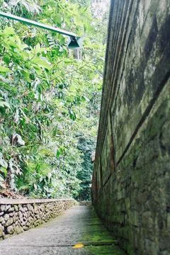 Narrow Stone Pathway beside Temple Wall  Monkey Forest Ubud Bali Indonesia Stock Photos