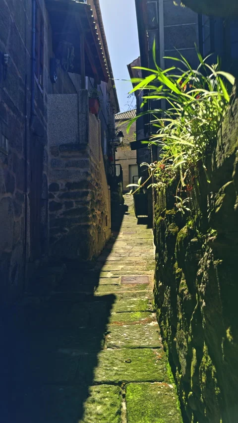 Narrow Stone Pathway with Moss and Shadows Stock Footage 275843425