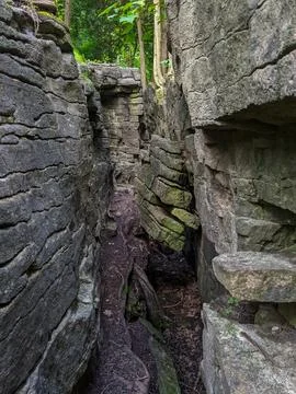 Narrow Stone Wall Path Between Ancient Rock Formations &amp; Roots in Canyon Forest Stock Photos