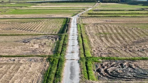 Narrow Straight Field Track Between Harvested Plots Stock Footage 347930159