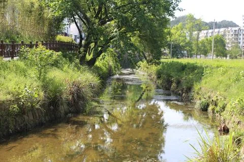 Narrow stream bordered by tall grass and trees with buildings in the distance Stock Photos