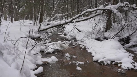 A narrow stream cutting through a snow-covered woodland. A calm river in a Stockbeeldmateriaal 329552974