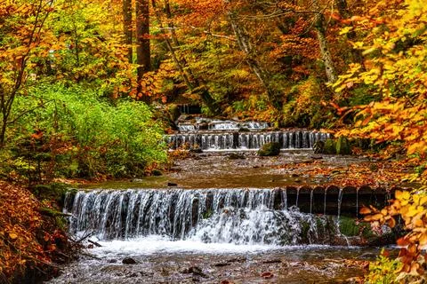 Narrow stream falling down mountain slope in autumn forest Stock Photos