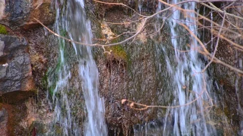 Narrow stream flowing in Alpine valley Stock Footage 147730113