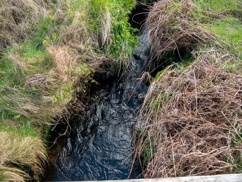 Narrow Stream Flowing Through Wild Grassland Photos