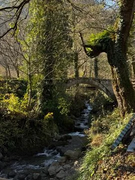 A narrow stream flows under a stone arch bridge in a forested area Stock Photos