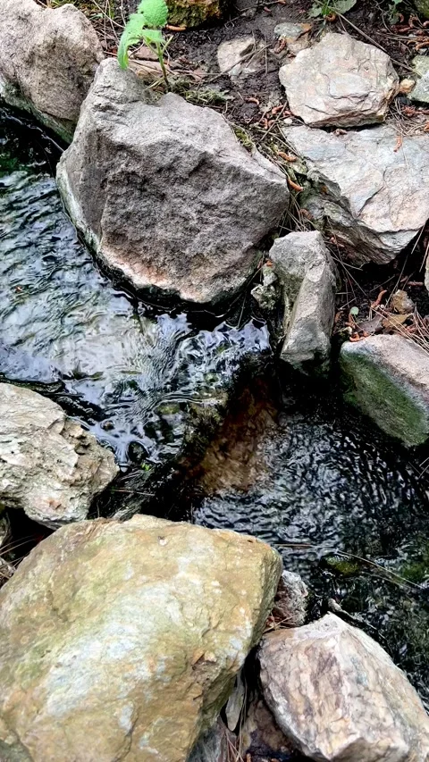 Narrow Stream in Garden, Flanked by Stone Borders and Green Foliage Video stock 274363479