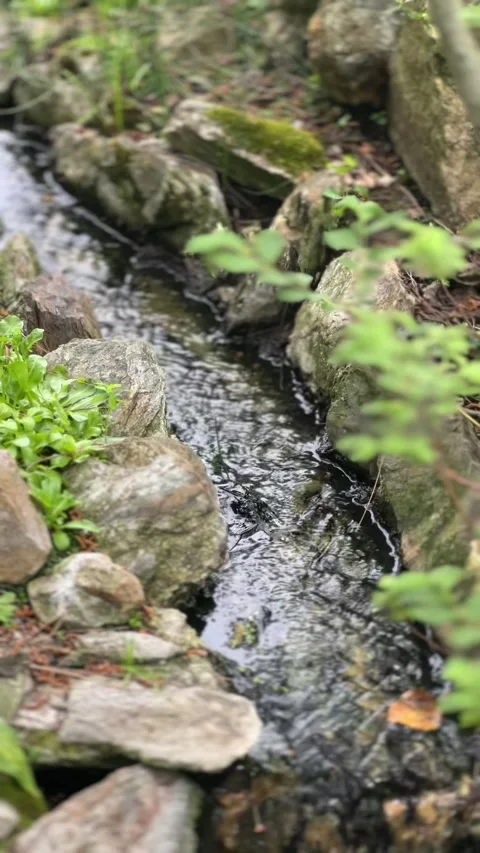 Narrow Stream in Garden, Flanked by Stone Borders and Green Foliage Video stock 274363484