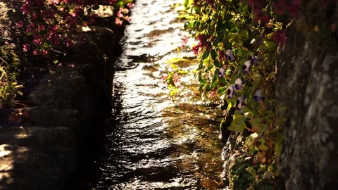 Narrow stream reflecting sunlight under flowers and bushes, 4K, handheld Stock Footage