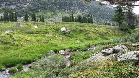 A narrow stream with a rocky bottom flows out of an alpine lake Stock Footage 273838592