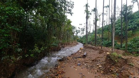 A narrow stream of water rushing down, in the woods, India Vídeo Stock 119313789