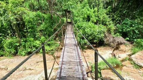 Narrow Suspension Bridge Over River in Forest Stock Footage 344707906