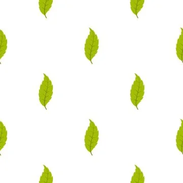 Narrow toothed green leaf pattern seamless Stock Illustration