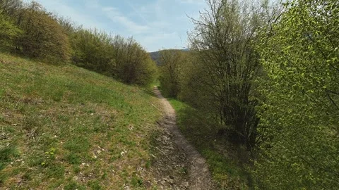 Narrow trail winds through green hillside. Mount Ozren, Serbia Видео 332729304