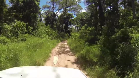Narrow Tropical Forest Road Stock Footage 40453292