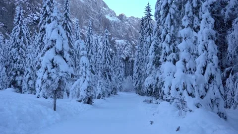 Narrow valley covered in snow Stock Footage 177466216