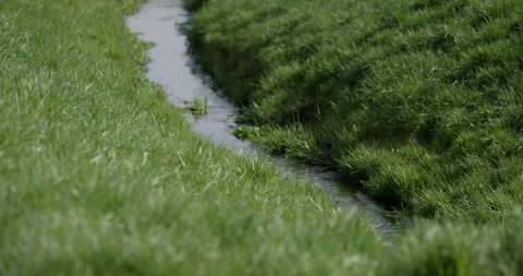 Narrow Water Ditch Winding Through a Green Meadow in Closeup Stock Footage 340290833