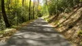 narrow winding forest rd steep drop off jagged rocks 4k or 4k+ Resolution