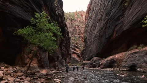 The Narrows Video stock 293000682