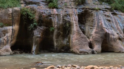 Narrows potholes and plants Stock Footage 307650046