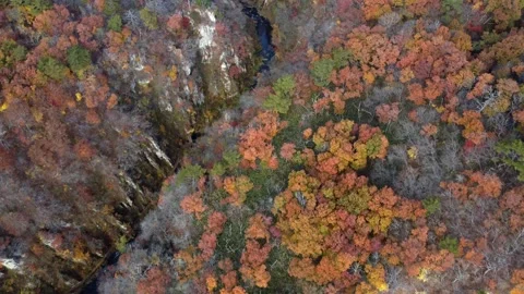 Naruko Gorge Straight flight Video stock 170769178