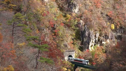Naruko Gorge train Video stock 170796956