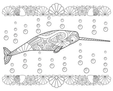 Narwhal with shell borders - vector linear picture for coloring. Stock Illustration