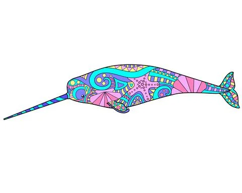 Narwhal - vector linear full color illustration. Ocean mammal animal Stock Illustration
