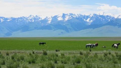 Naryn Region At Bashy Valley Stock Footage 100708958