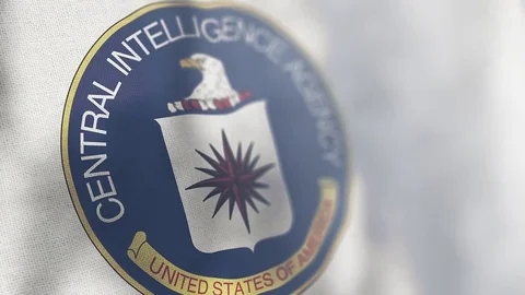 NASA flag animated 스톡 동영상 80597649