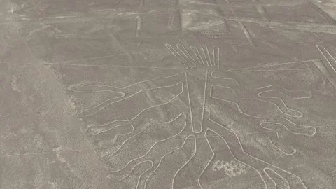 Nasca lines (Tree) in the desert of Peru, Aerial video footage Stockbeeldmateriaal 325347722