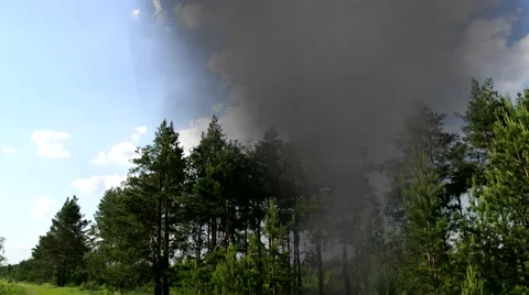 Nascent, arising  dust devil. Stock Footage 64467296