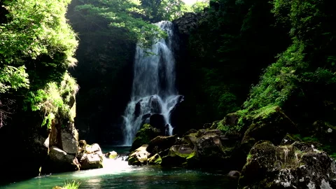 Naso's White Waterfall Valley Video stock 332223070
