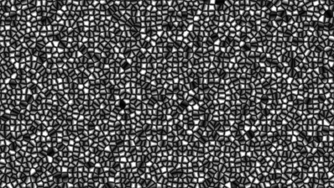 Nasty Abstract Cubes Looped 3d Animation. White Wall Moving. Stock Footage 101782655